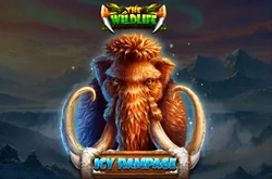 RocketPlay The Wild Life Icy Rampage